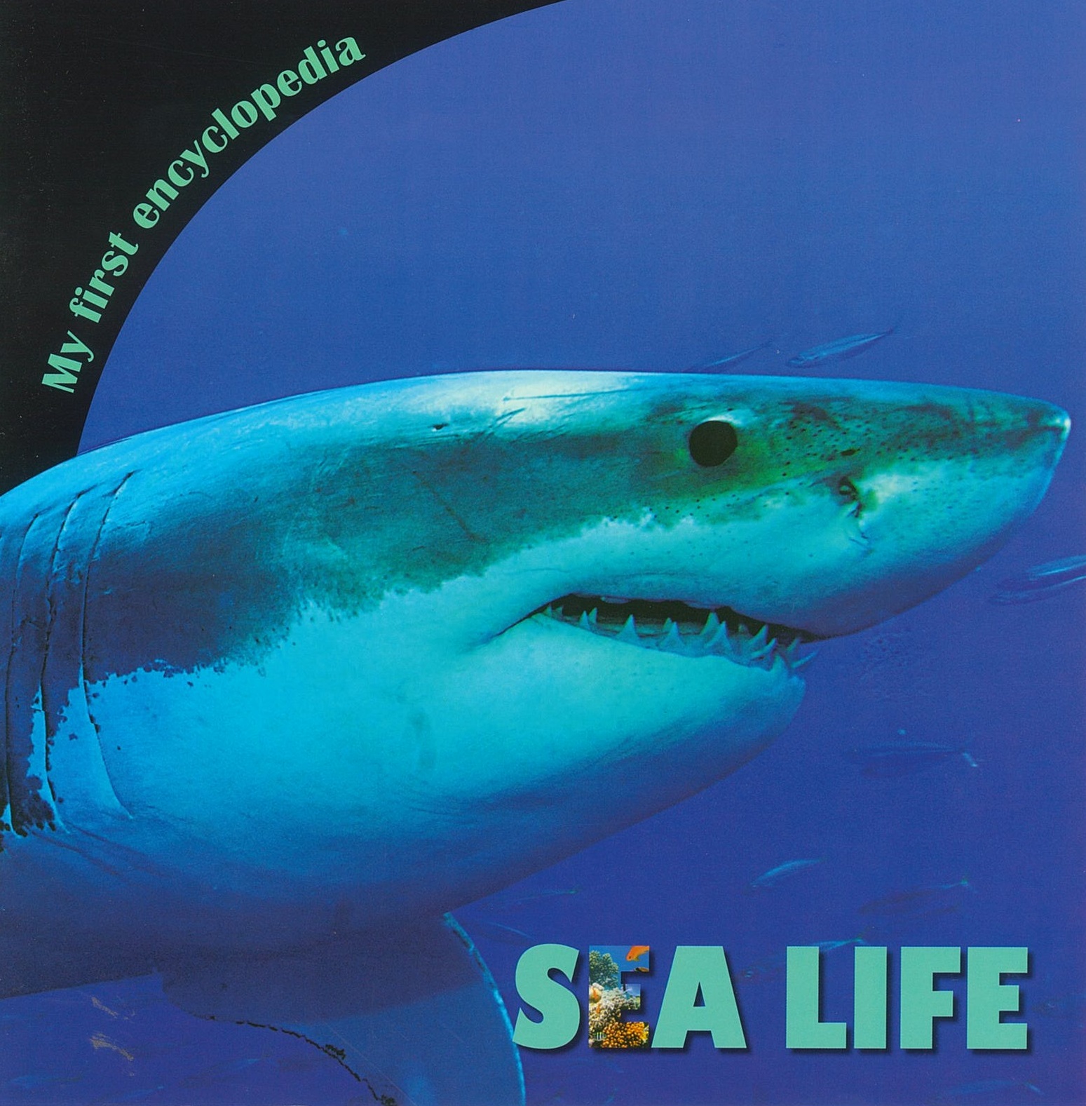 MFE - Sea Life